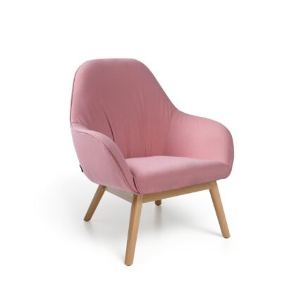 Mix Iron Pipe Leisure Chair