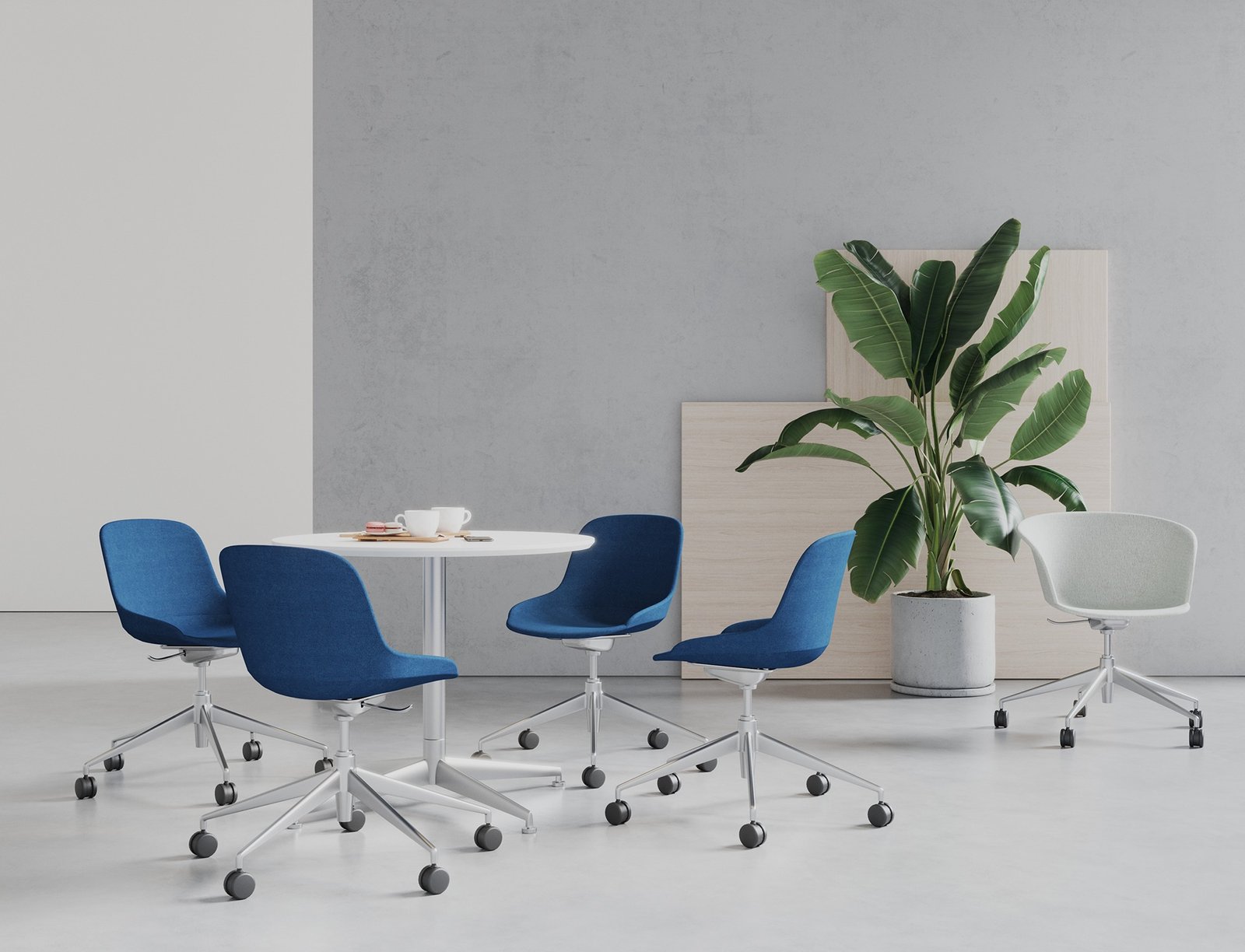 imgi_23_6776102a6d98a